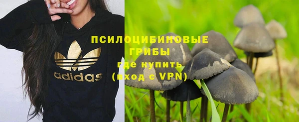 ешки Арсеньев