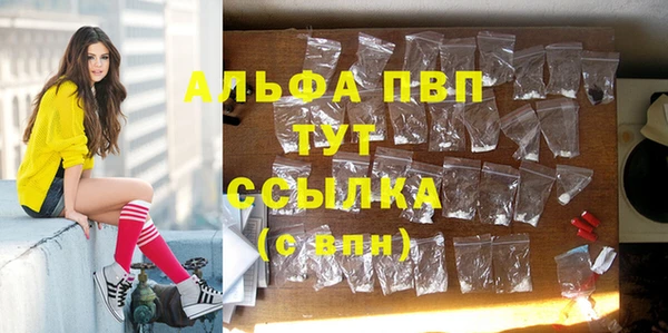спиды Армянск