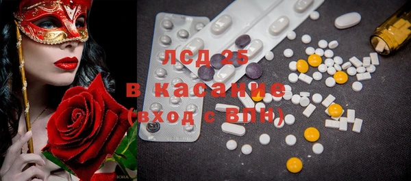 твердый Аркадак
