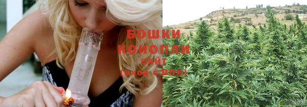 твердый Аркадак